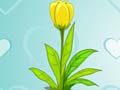 為什么有的植物開(kāi)花、有的植物不開(kāi)花？